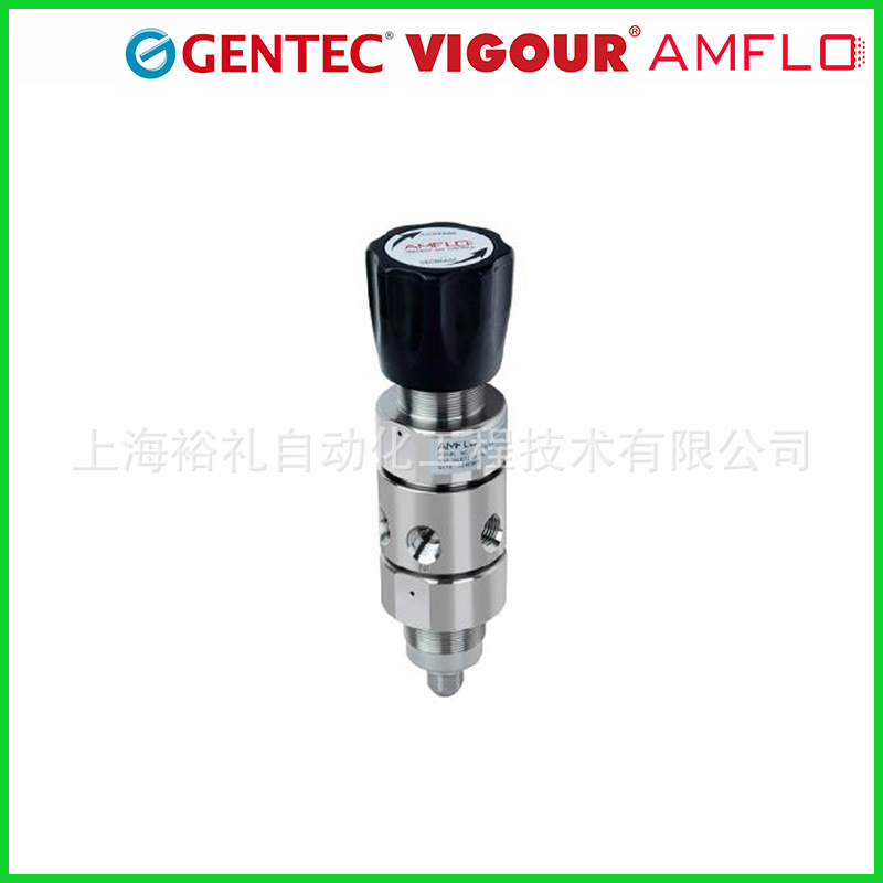 高进高出不锈钢高压特气减压器 高压活塞316L气体调压阀