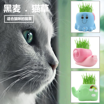 modelling Ceramic Art originality Triticale Catnip Hair ball stomach Catnip Pet food suit