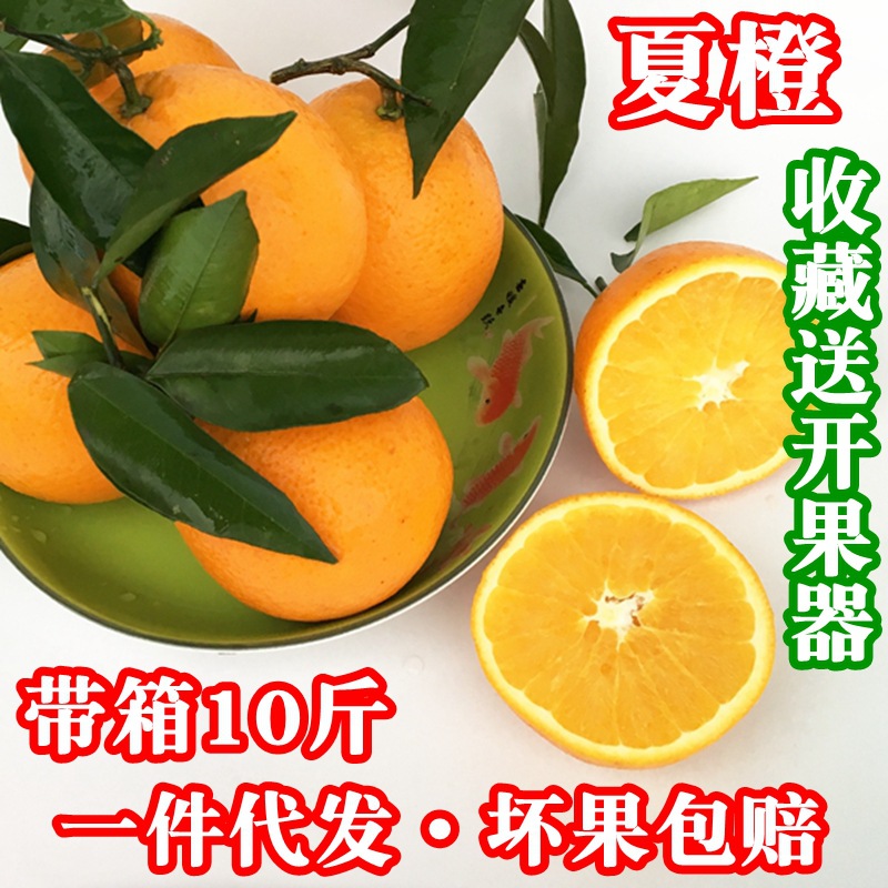 橙子新鲜水果夏橙秭归伦晚脐橙子新鲜水果现货应季水果带箱10斤|ru