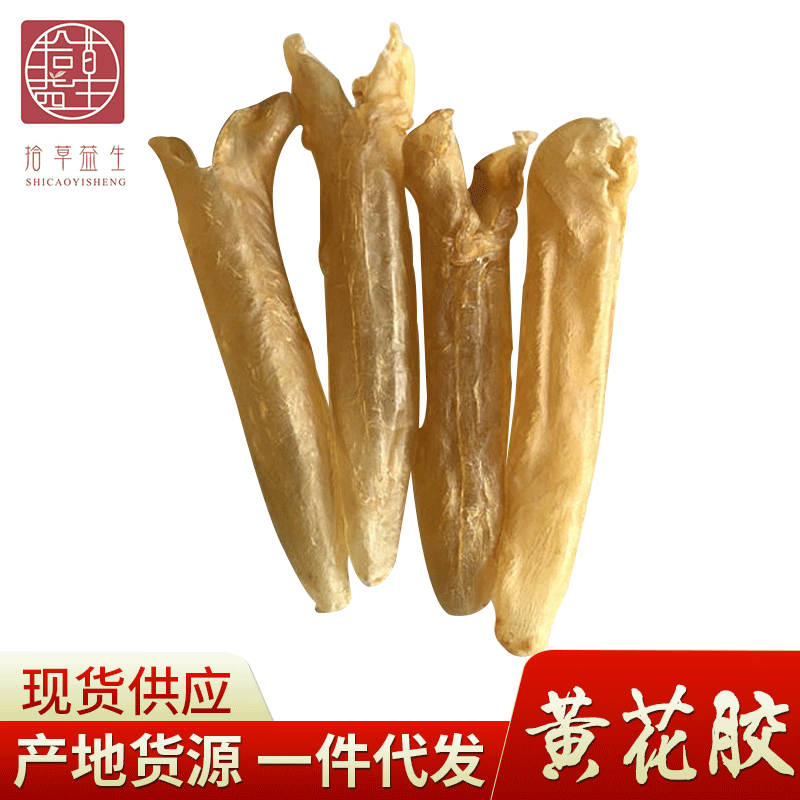 wholesale 100 Gum Lily Seafood dried food Yellow plastic Isinglass Tonic Ingredients One piece On behalf of