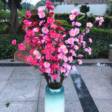 �����һ��һ�֦����÷��֦�٘�֦�ٻ���c�bٻ����ϻ����l����