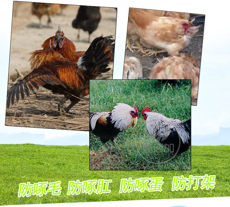 鸡眼镜AA详情页 (3).jpg