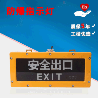 工程优选 LED防爆指示灯消防应急照明灯节能 安全出口 疏散标志灯