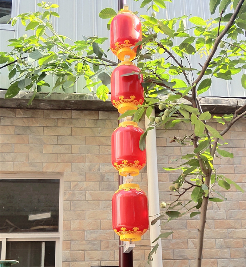 IMG_20190603_162005_副本