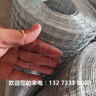 建筑挂灰批荡网抹墙网抹灰网外墙保温防裂镀锌电焊网砂浆网方眼网