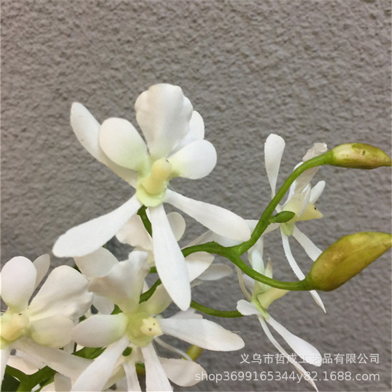 O1CN01tBftm22L9IBuJAGjn_!!6834