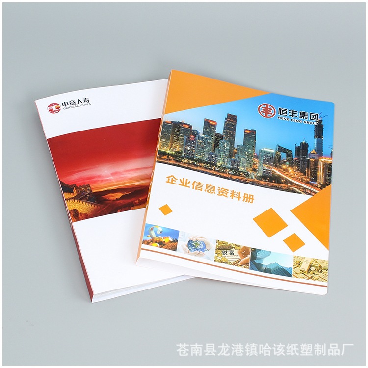 厂家生产A4资料册 文件袋插页 档案盒 学生收集册 彩色logo定做