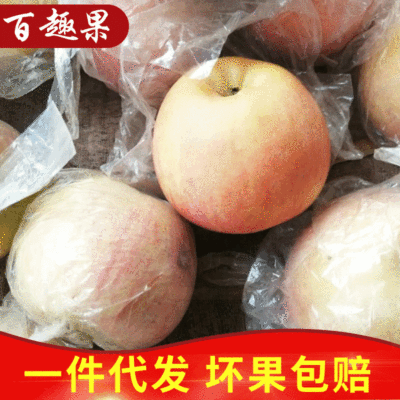 Shanxi Film bags Red Fuji Apple fresh fruit Tasty Film bags Apple On behalf of Film bags Apple