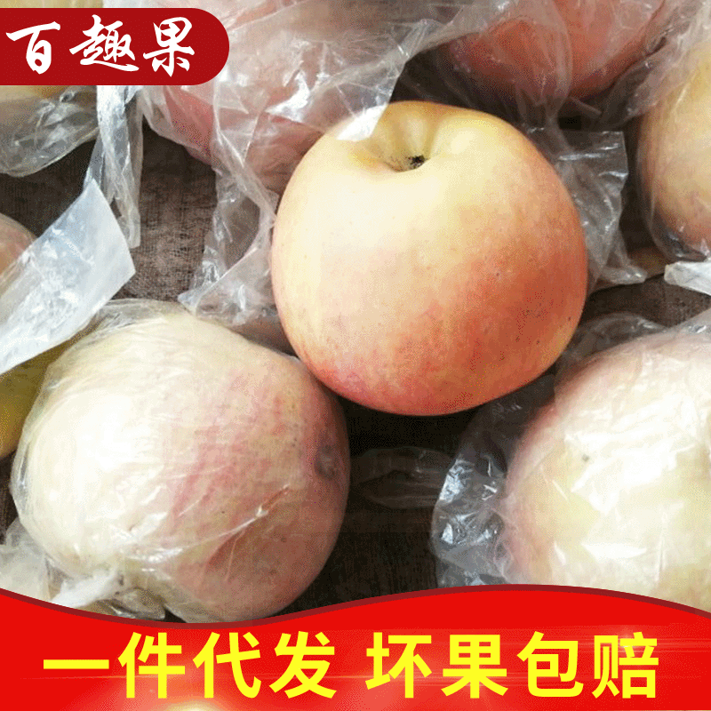 Shanxi Film bags Red Fuji Apple fresh fruit Tasty Film bags Apple On behalf of Film bags Apple