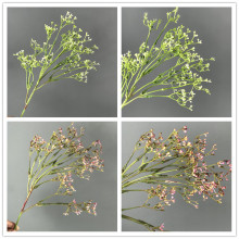 ��c��Y�����M�������l���滨�ٻ������������廨�Ҿ��b���