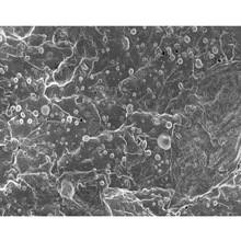 �h����֬���g���S�Ҵ������l�N��V2242���u�Y���h�����g��