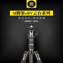 厂家直销迈途碳纤维摄影三脚架云台套装M-285C+BV-20灵巧便携