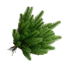 �¿��}�Q����������� �Gֲ���ˮ���b���10֧һ�����l