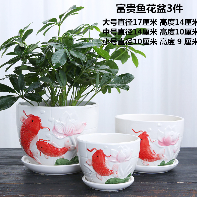 114A1937 副本_副本