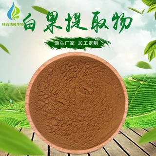 白果提取物 现货供应 银杏果提取物 白果浓缩粉 500G/袋 免邮