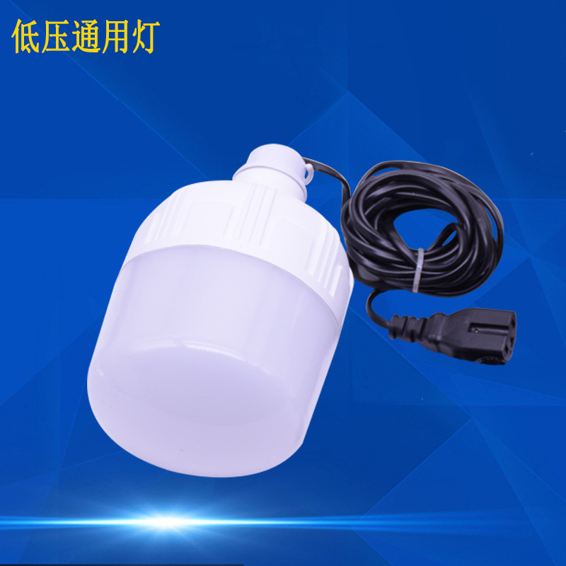 LED厂家批发12V到100伏低压30和20w球泡灯 夜市地摊照明 品字带线|ms
