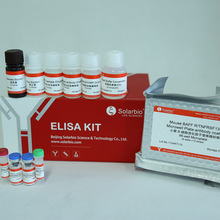 小鼠B细胞活化因子受体ELISA试剂盒   买ELISA试剂盒，免费代测