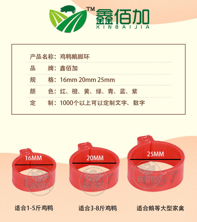 鸡脚环BB详情页 (2).jpg