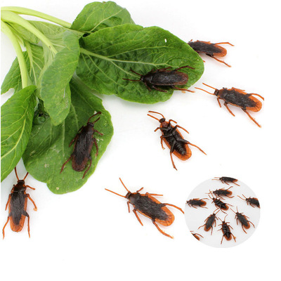 simulation Cockroach The whole person Tricky toy Startle Cockroach Xiaoqiang simulation centipede Gecko Scorpion Scary toy