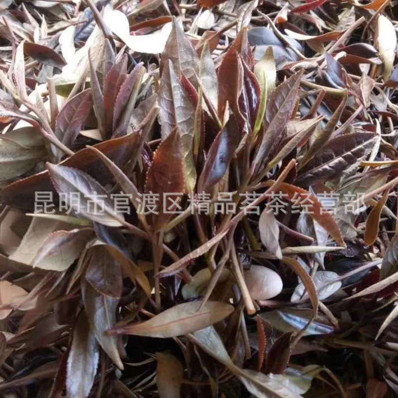 Mingqiantou spring big tree tea Lancang super purple tea Pu'er tea loose tea wholesale