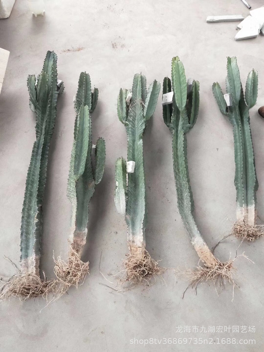 ΢ͼƬ_20190509161141