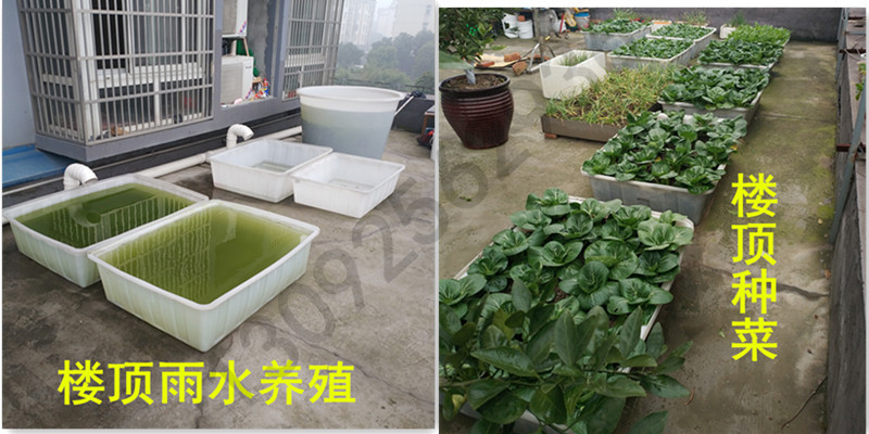 注塑水箱圆桶