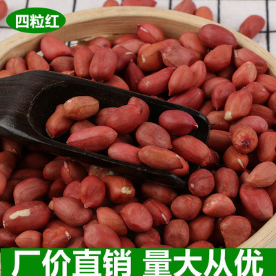 Manufactor Direct selling Northeast food peanut Farm Production Whole grains wholesale high quality bulk Coarse grains Safflower