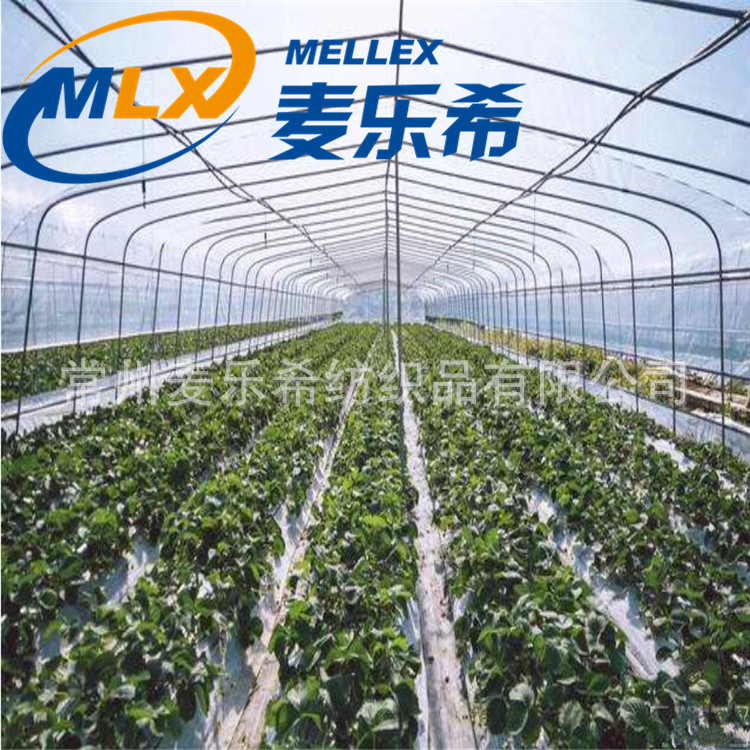 新款厂家生产销售 草莓种植使用清洁网  草莓生长黑色地膜替代网