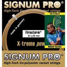 �������� ���汩�L SIGNUM PRO X-treme Power Firestorm�W��