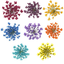 绿宝石花 绿宝石花品牌 图片 价格 绿宝石花批发 阿里巴巴