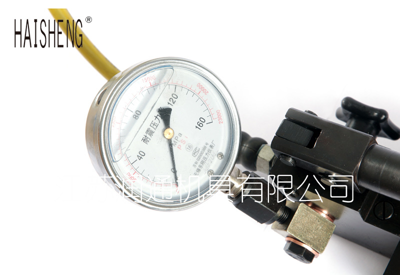 105Mpa试压注脂两用枪 (10)