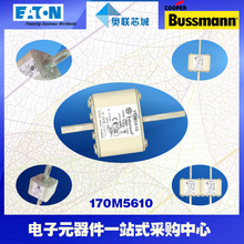 170M5608 170M5609 170M5610 170M5611EATON Bussmann۶