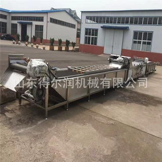 2020蔬菜深加工项目-速冻蔬菜清洗漂烫生产线 蔬菜清洗机制造商