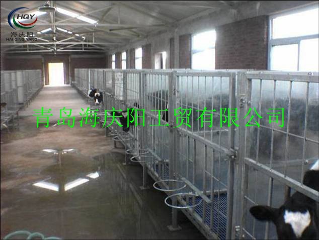 【促销】厂家专业生产犊牛栏 畜牧养牛设备 牛颈枷 销售牛犊栏