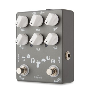 Caline��� CP-15 Tantrum Heavy Metal �ؽ��� �ΉKЧ����