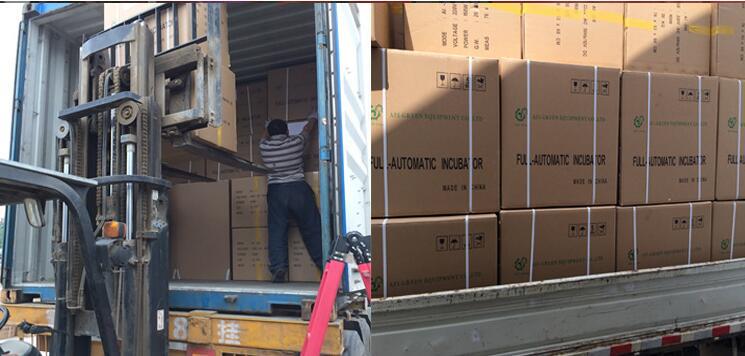 QQ图片20180121091645