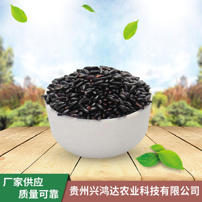 黑香米粗糧 五谷雜糧粗糧十谷米黑米營養早餐廠家直銷批發