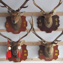 ¹�^�˱� һ�����l �F؛��������