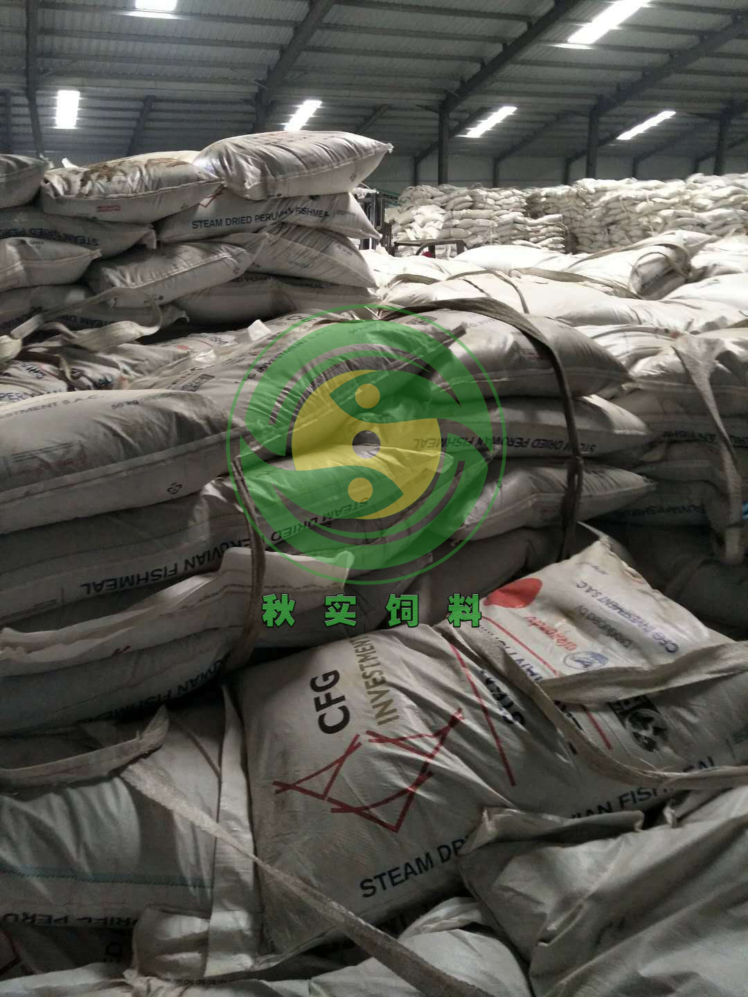 75e34680a826d99bd7f19de2fea039