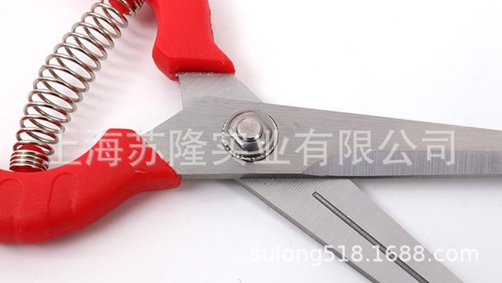 佐川田909加长稀果剪摘果剪黑枸杞花椒采摘工具采果剪刀尖头剪