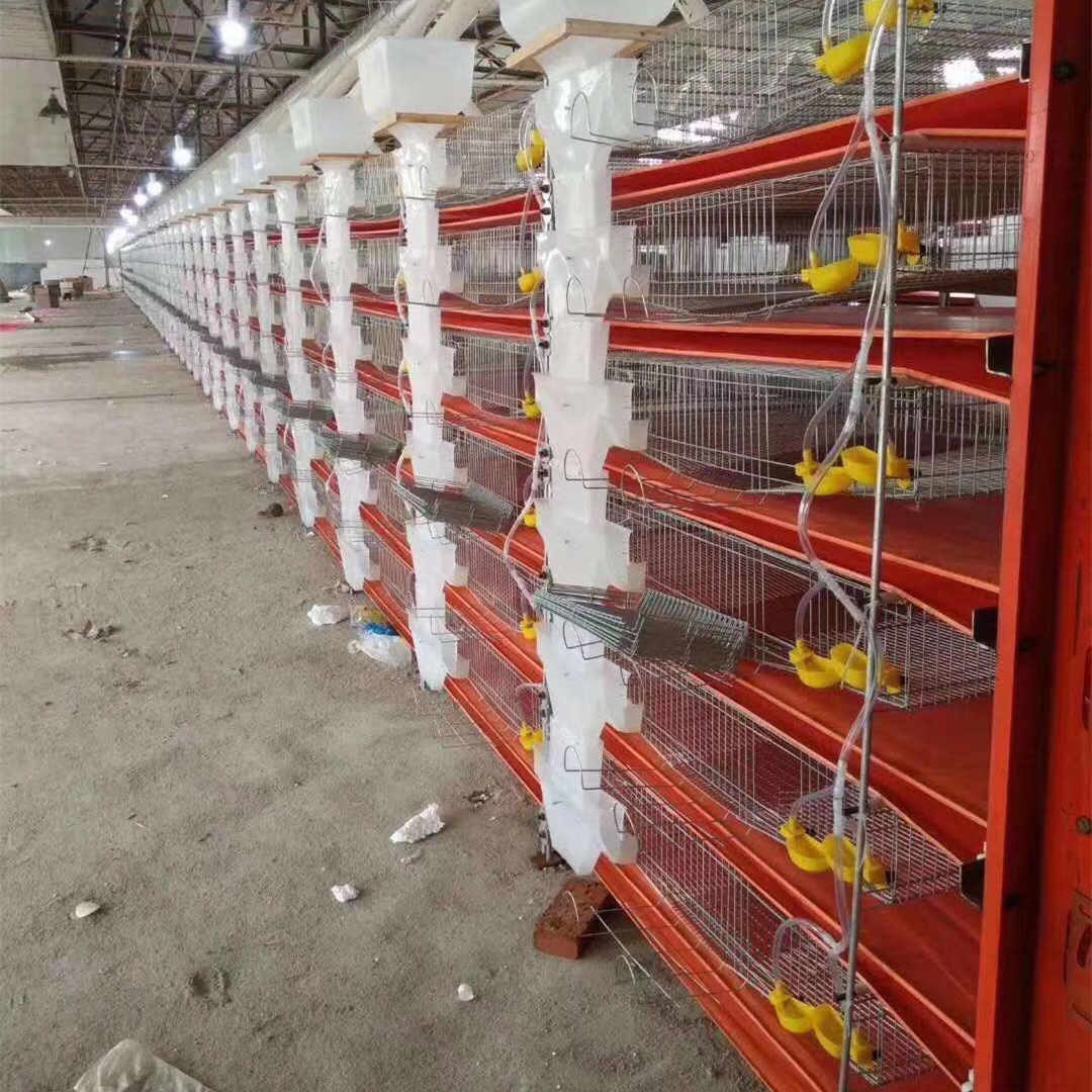 厂价供应养殖场鸡粪带鸡场清粪带鹌鹑兔笼鸡笼拖粪带运输带传送带|ru