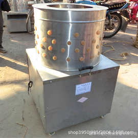 不锈钢脱毛机 脱毛机厂家 家禽脱毛机图片