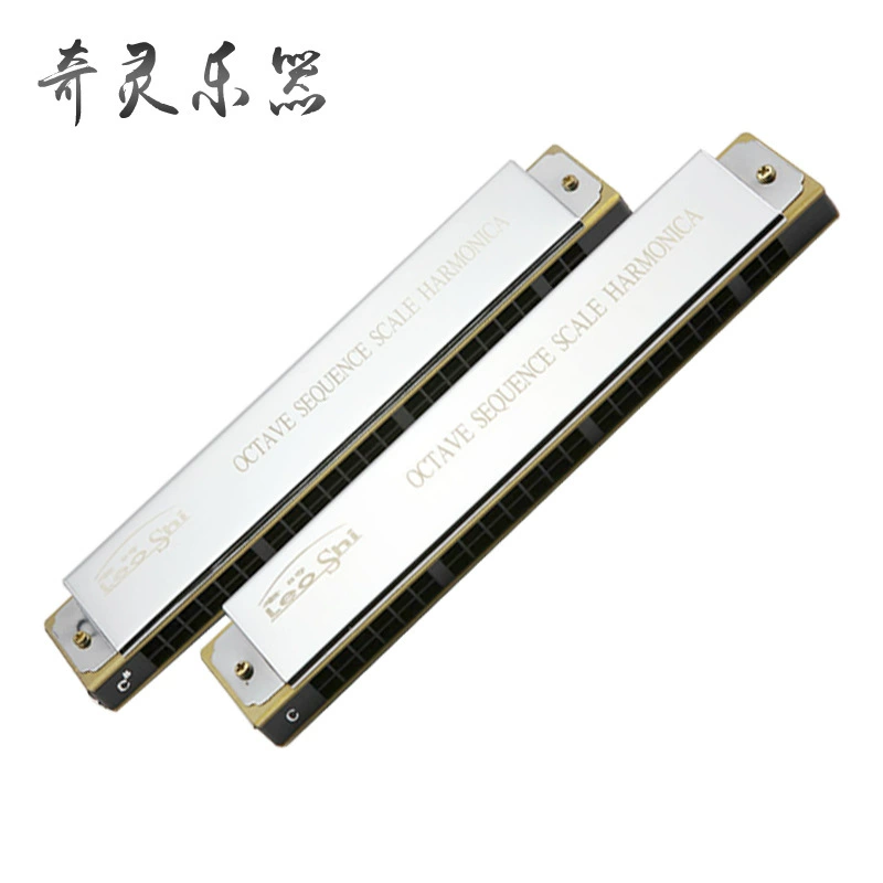 HLIO SHI old time 22-hole accent harmonica performance grade harmonica factory wholesale supply