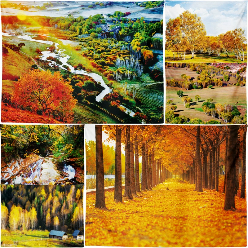 Трансграничная горячая Распродажа осенний красочный лесной фон настенный гобелен напечатанный гобелен ткань может использоваться как карта клиента