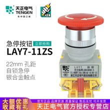 天正LAY7-11ZS/1急停蘑菇头自锁Y090-11ZS紧急停止按钮开关22mm