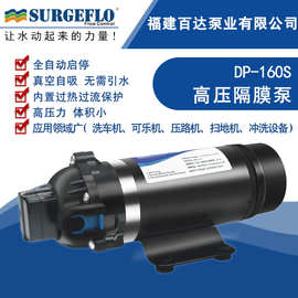 DP-160交流直流净水器高压水泵可乐机清洗泵高压洗车喷雾小型水泵