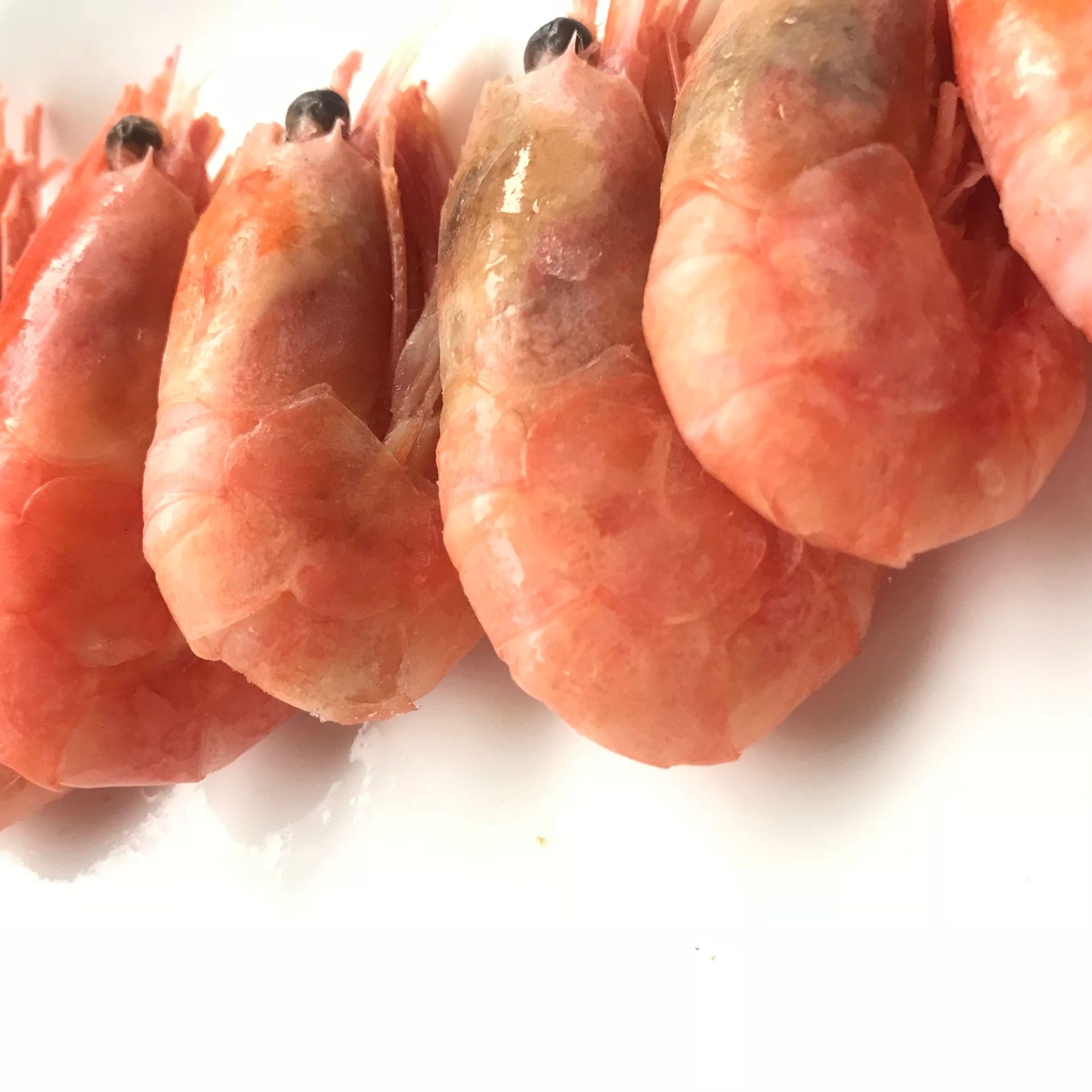 【微商爆品 複購首選】 新鮮到港 北極熊 北極甜蝦