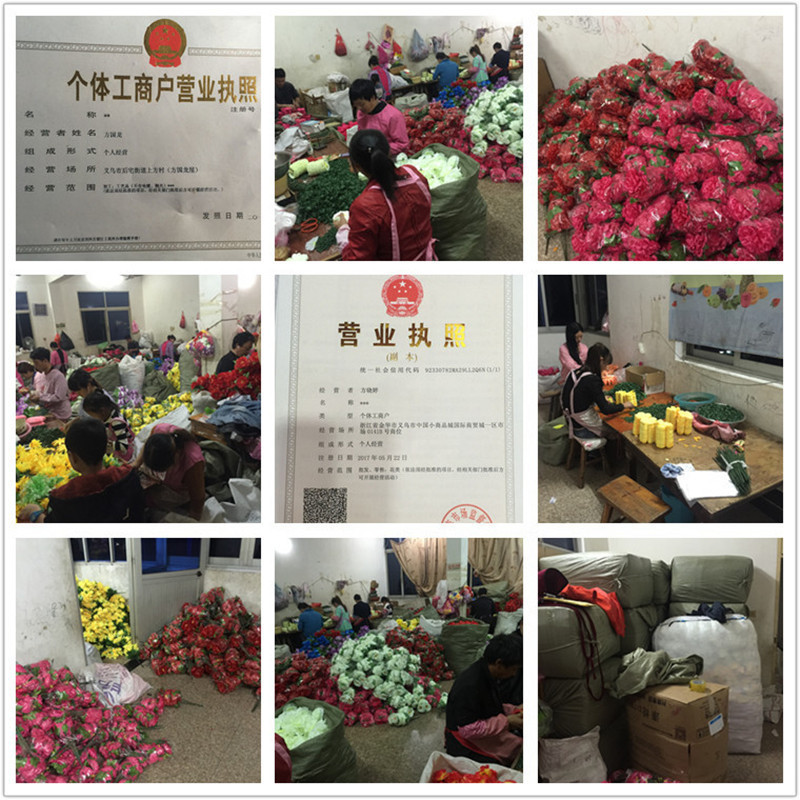 11507108548_372562994