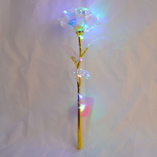 �S���¿��õ�� �����õ����Ϧ �̎����Y��F؛���l������