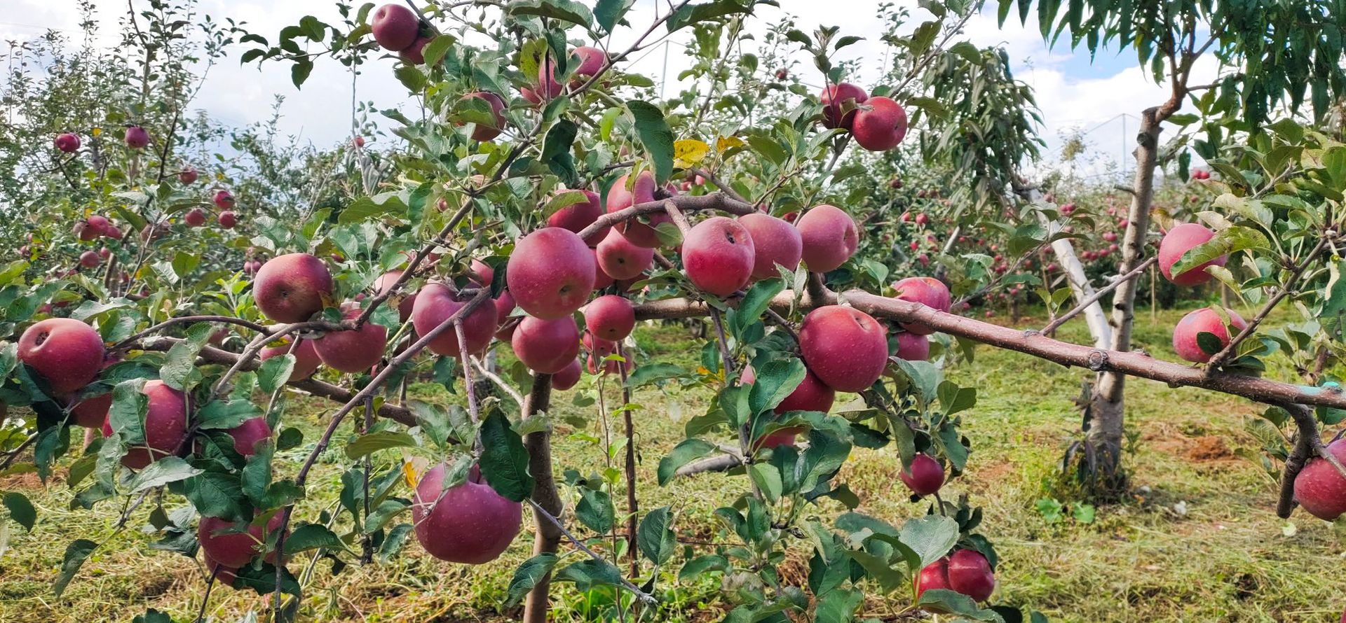 b935f4e40b5fb45a7ff2256957ff3d